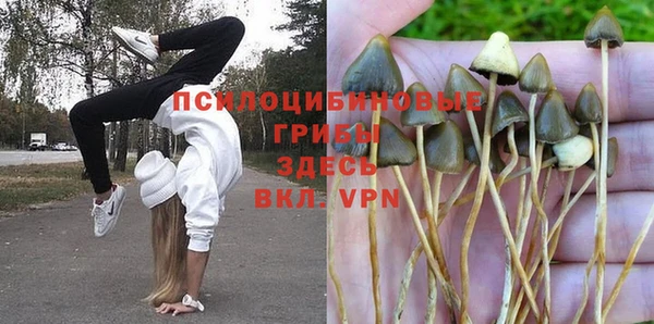 винт Арсеньев