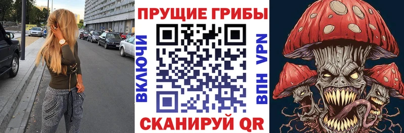 Псилоцибиновые грибы мицелий Темников