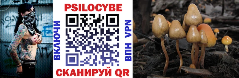 где можно купить   Темников  МЕГА рабочий сайт  Галлюциногенные грибы Magic Shrooms 